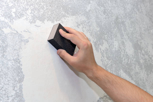 Best Mold Damage Restoration  in Skiato, OK