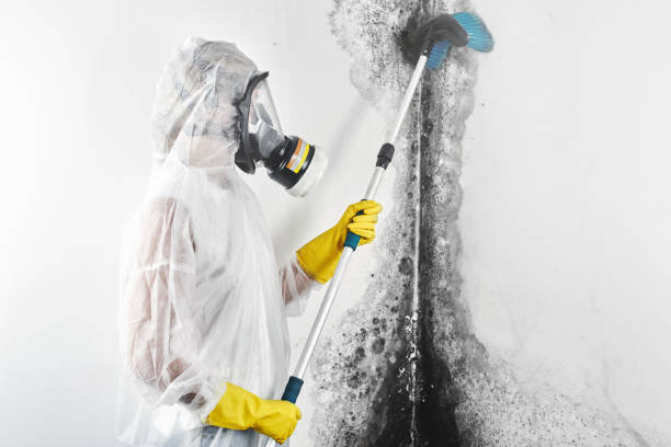 Mold Remediation for Vacation Homes in Skiatook, OK