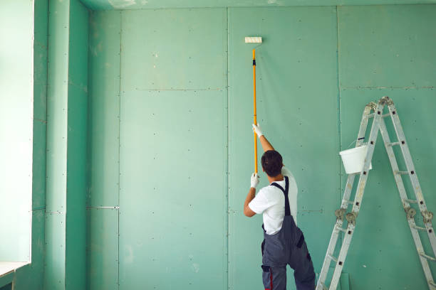 Best Mold Removal for HVAC Installations  in Skiato, OK