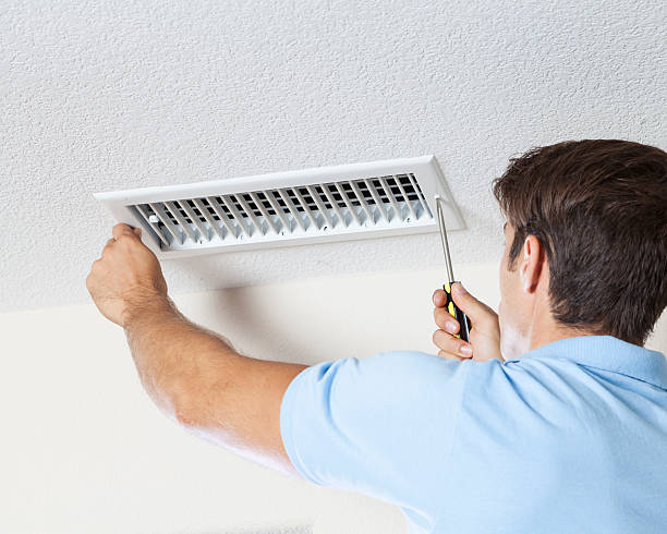Best Black Mold Removal  in Skiato, OK