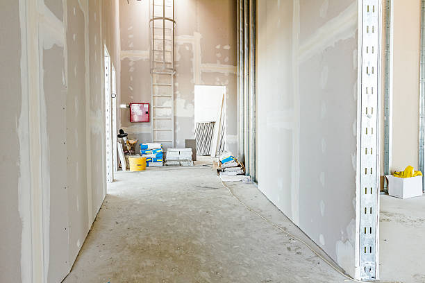 Best Emergency Mold Remediation  in Skiato, OK